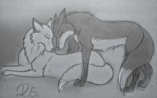 Лиса и волк рисунок карандашом (49 фото)