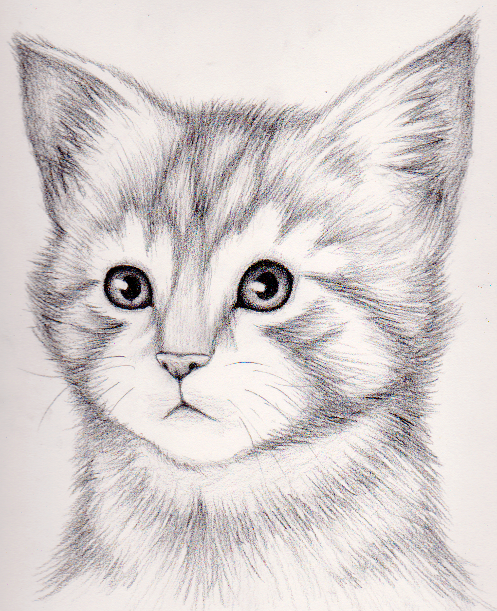 Красивые рисунки быстро и легко карандашом. Кошка карандашом. Котик карандашом. Красивые рисунки карандашом. Несложные рисунки.