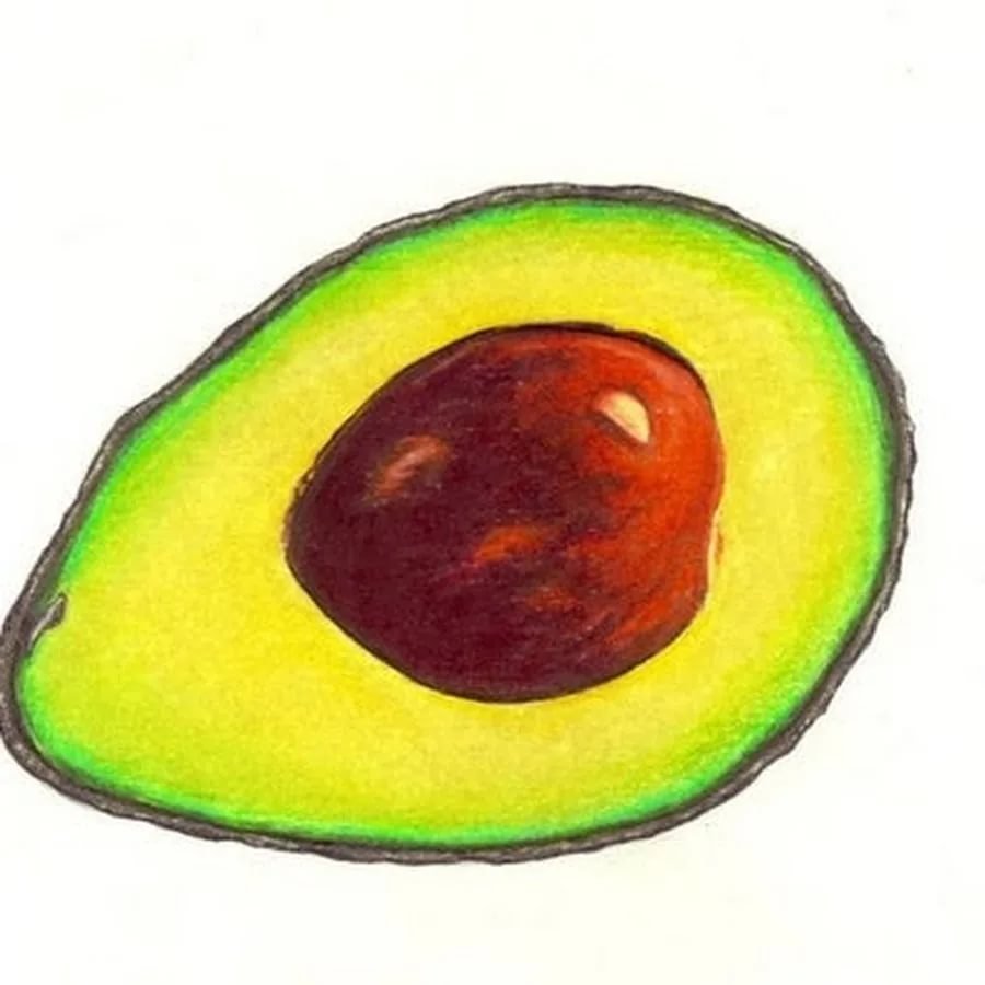 Авокадо рисунок карандашом