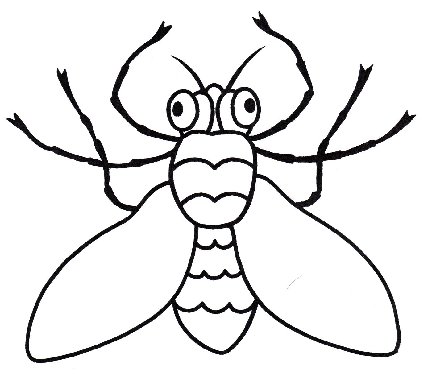 Раскраски насекомые Муха
