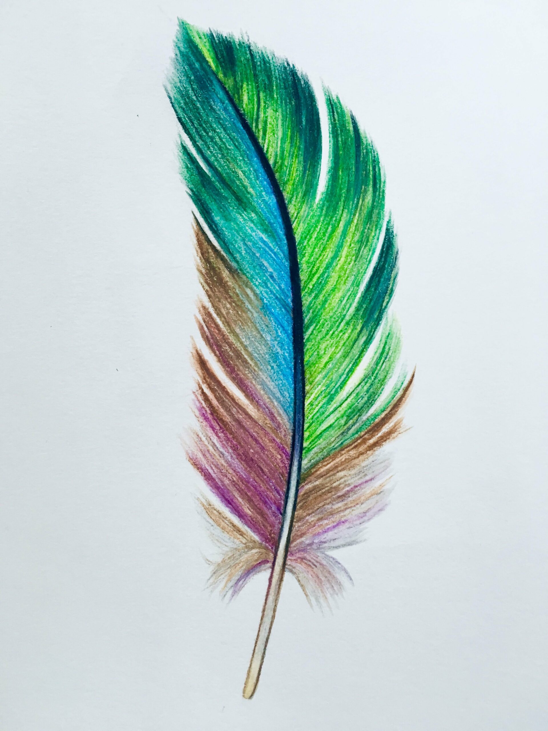 Перо рисунок простой (20 фото) скачать бесплатно