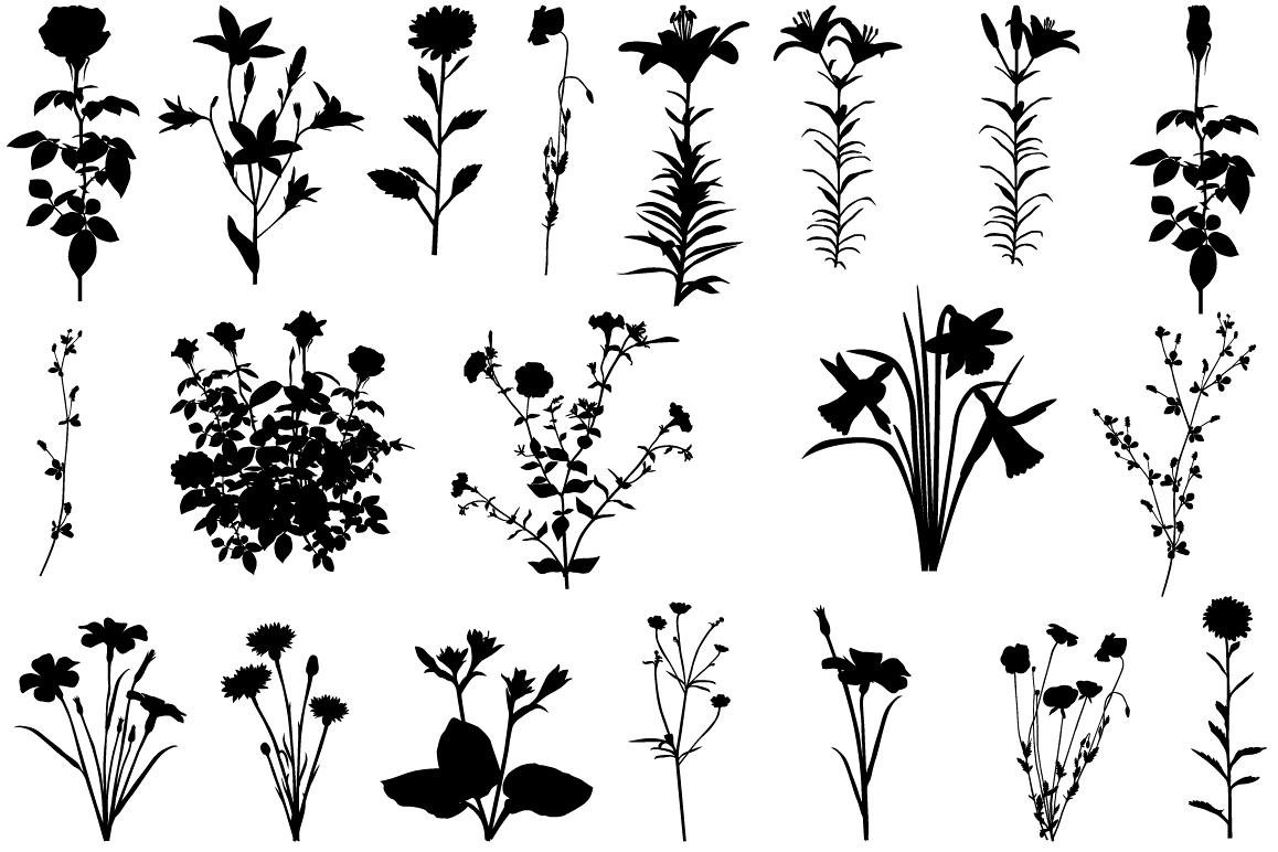 Силуэты трав и цветов