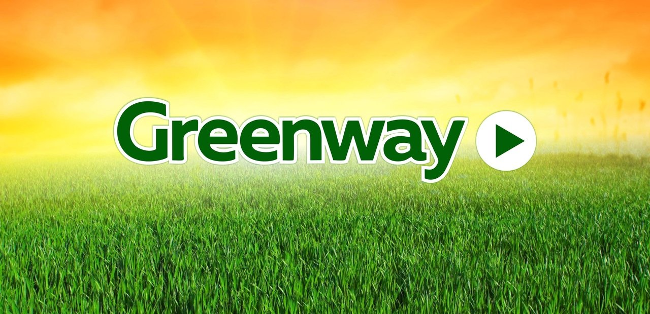 Greenway бизнес обложка