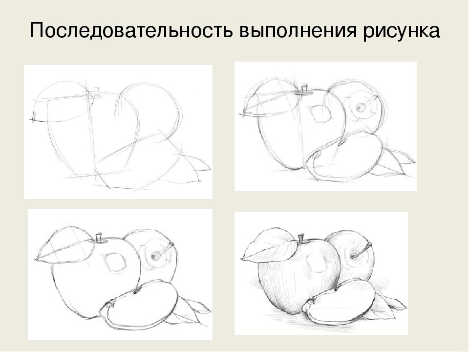 Этапы рисования натюрморта
