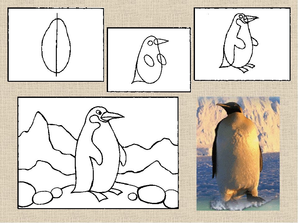 Урок изо 1 класс презентация поэтапное рисование. Рисование пингвина. Пингвин пошаговое рисование. Рисунки для 1 класса по изо. Рисование пингвина в подготовительной группе.