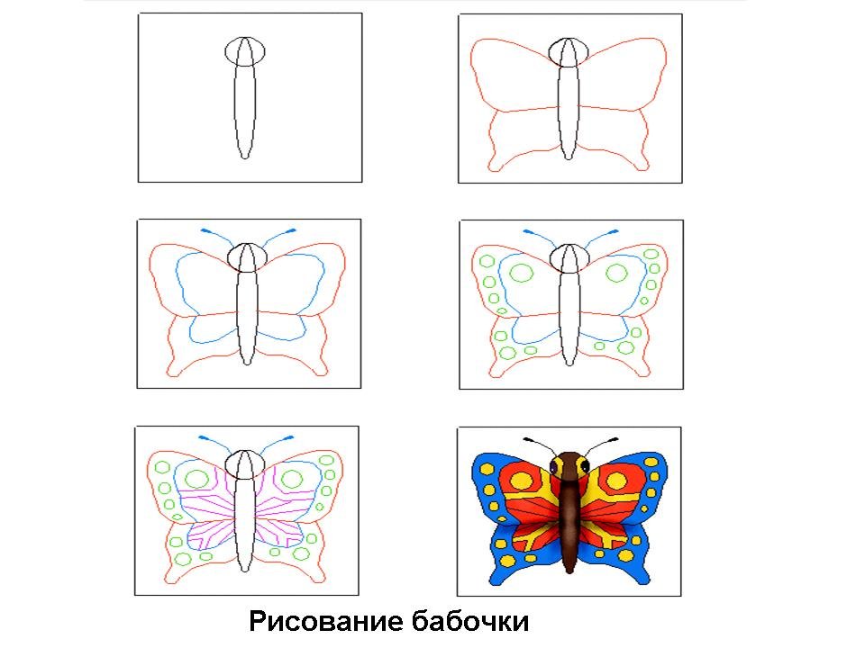 Уроки рисования бабочка