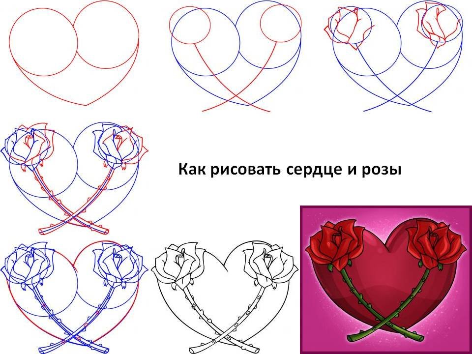 Как нарисовать лебедя поэтапно