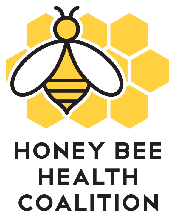 Логотип пчела мед
