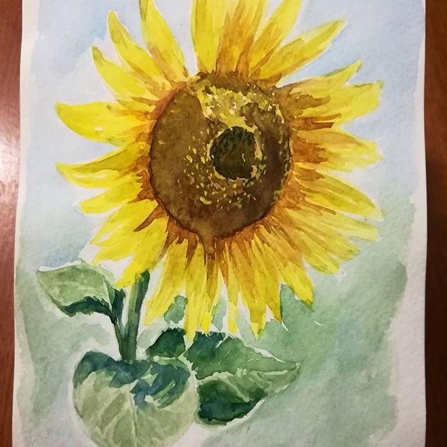 Подсолнух рисунок акварелью (49 фото) скачать бесплатно
