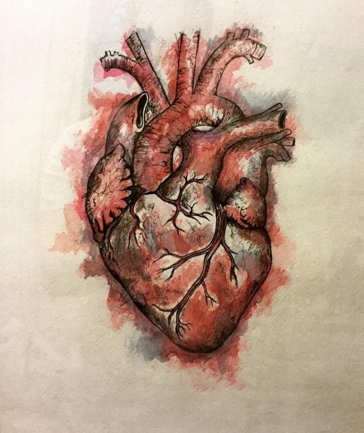 Разбитое Анатомическое сердце