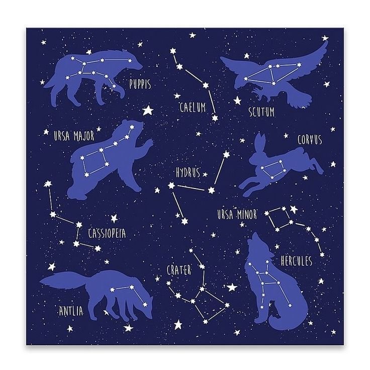 Созвездия животных на небе
