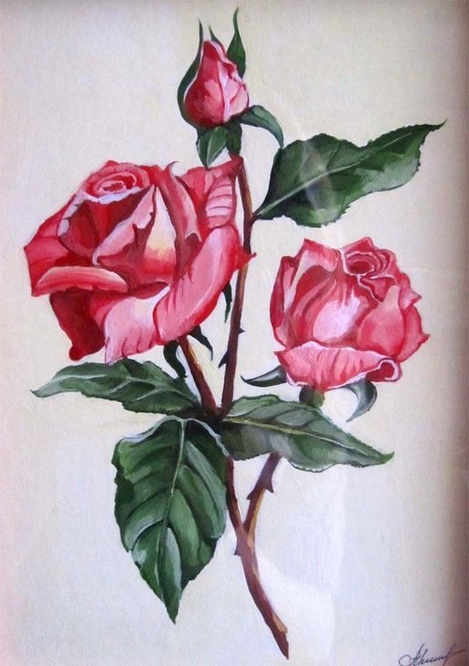 Розовые цветы гуашью