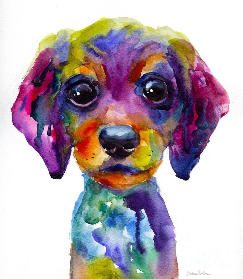 Краска для собак