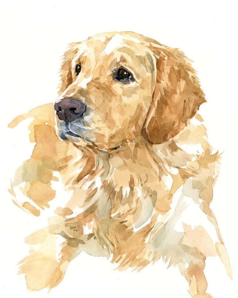 Портрет собаки акварелью