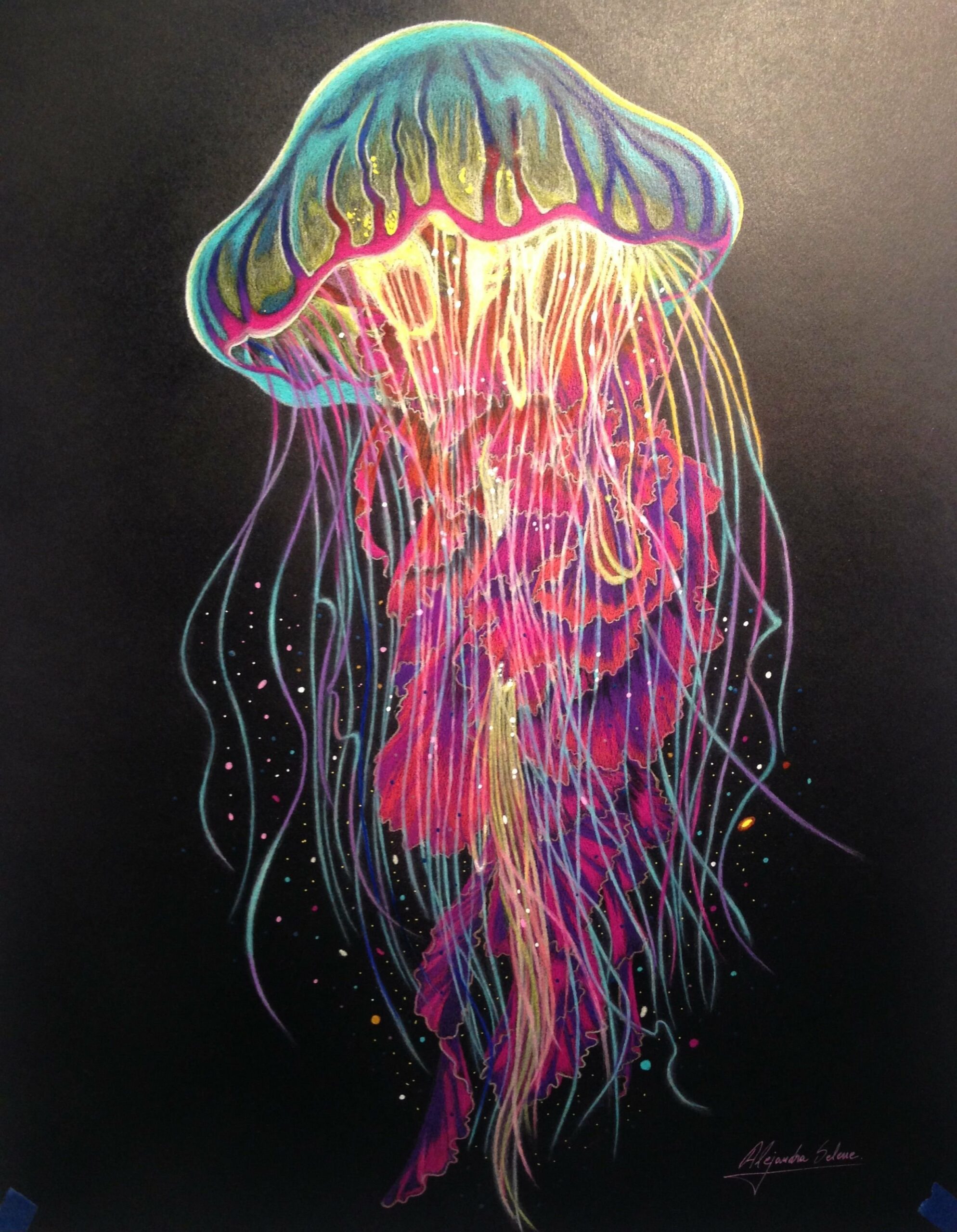 Медуза цветными карандашами