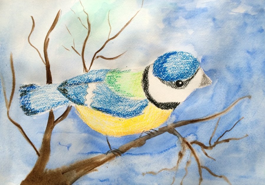Поэтапное рисование птицы синички