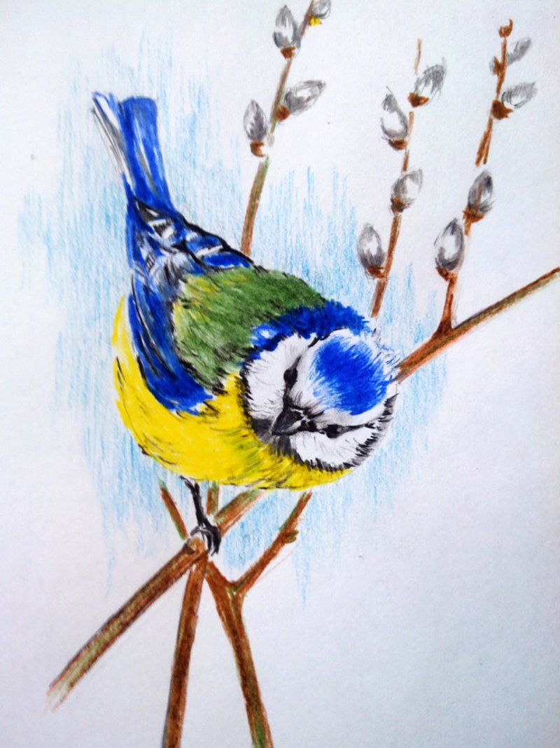 Рисование весенних птиц