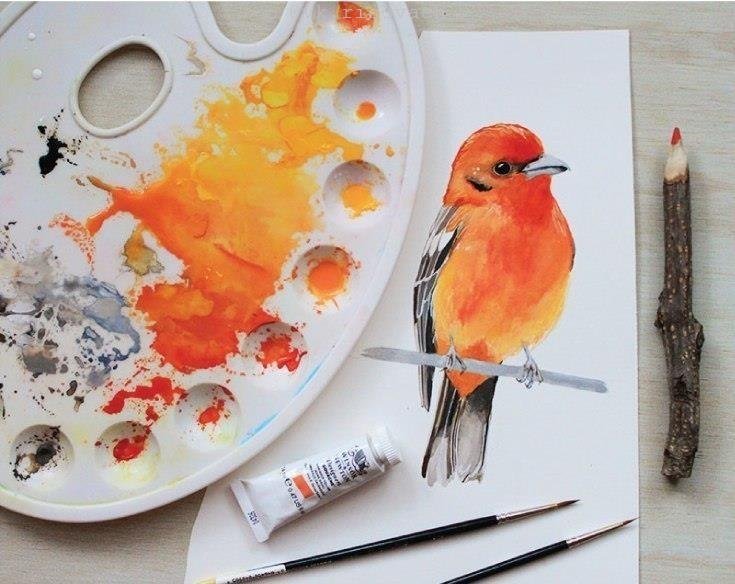 Нарисовать птицу красками