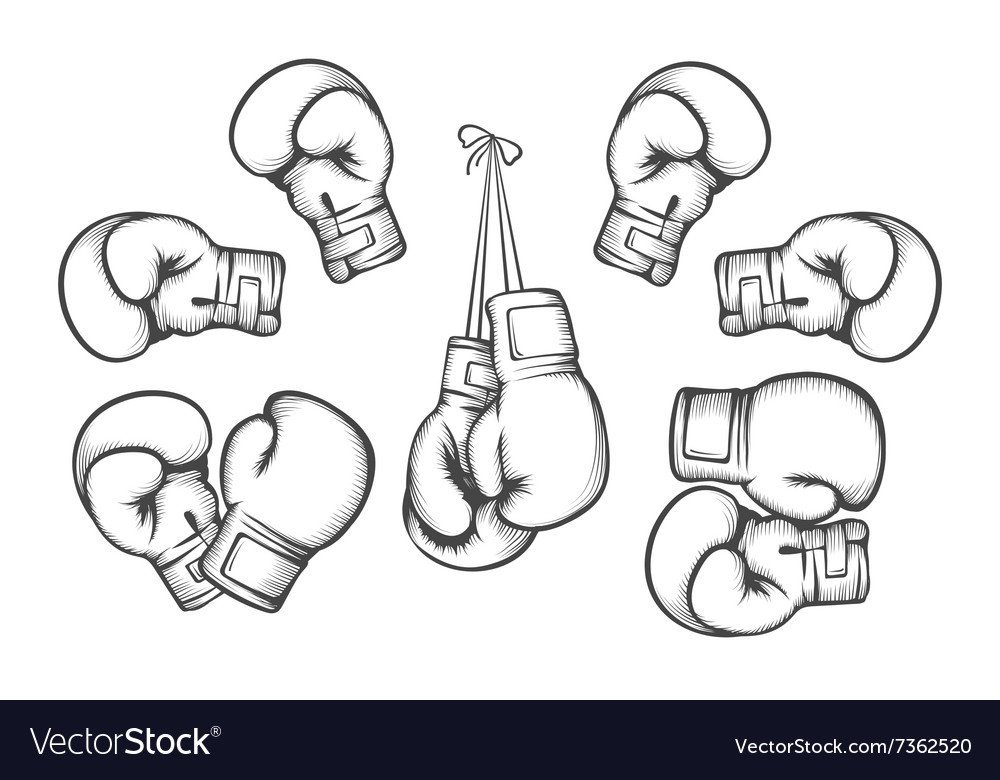 Поэтапное рисование боксера