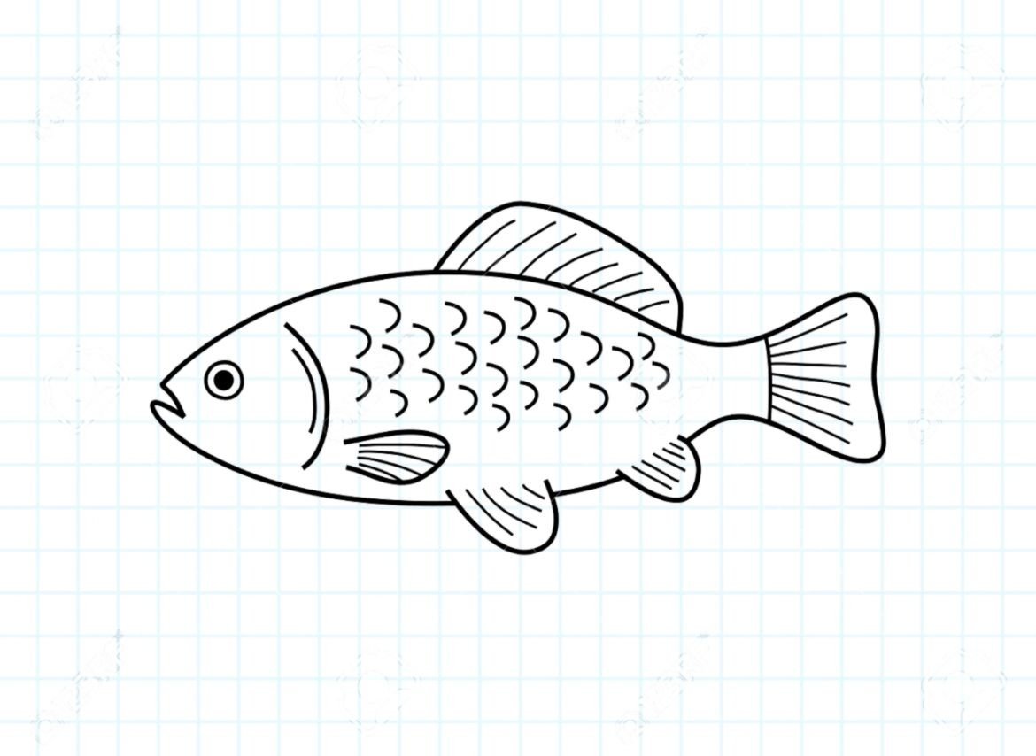 Нарисовать рыбу ручкой