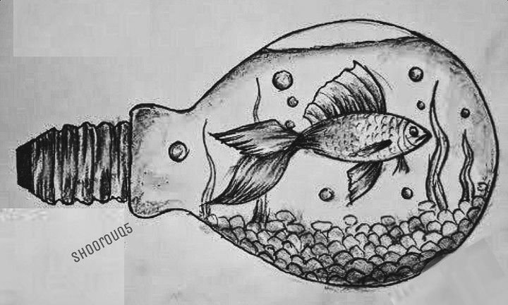 Рыба гравюра
