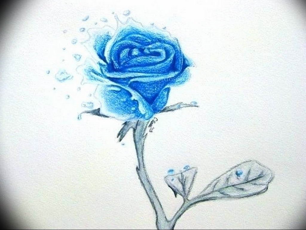 Синие цветы для срисовки
