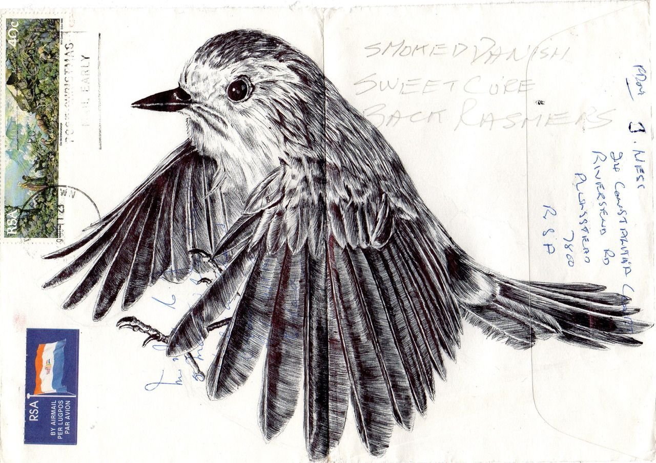 Зарисовки птиц гелевой ручкой