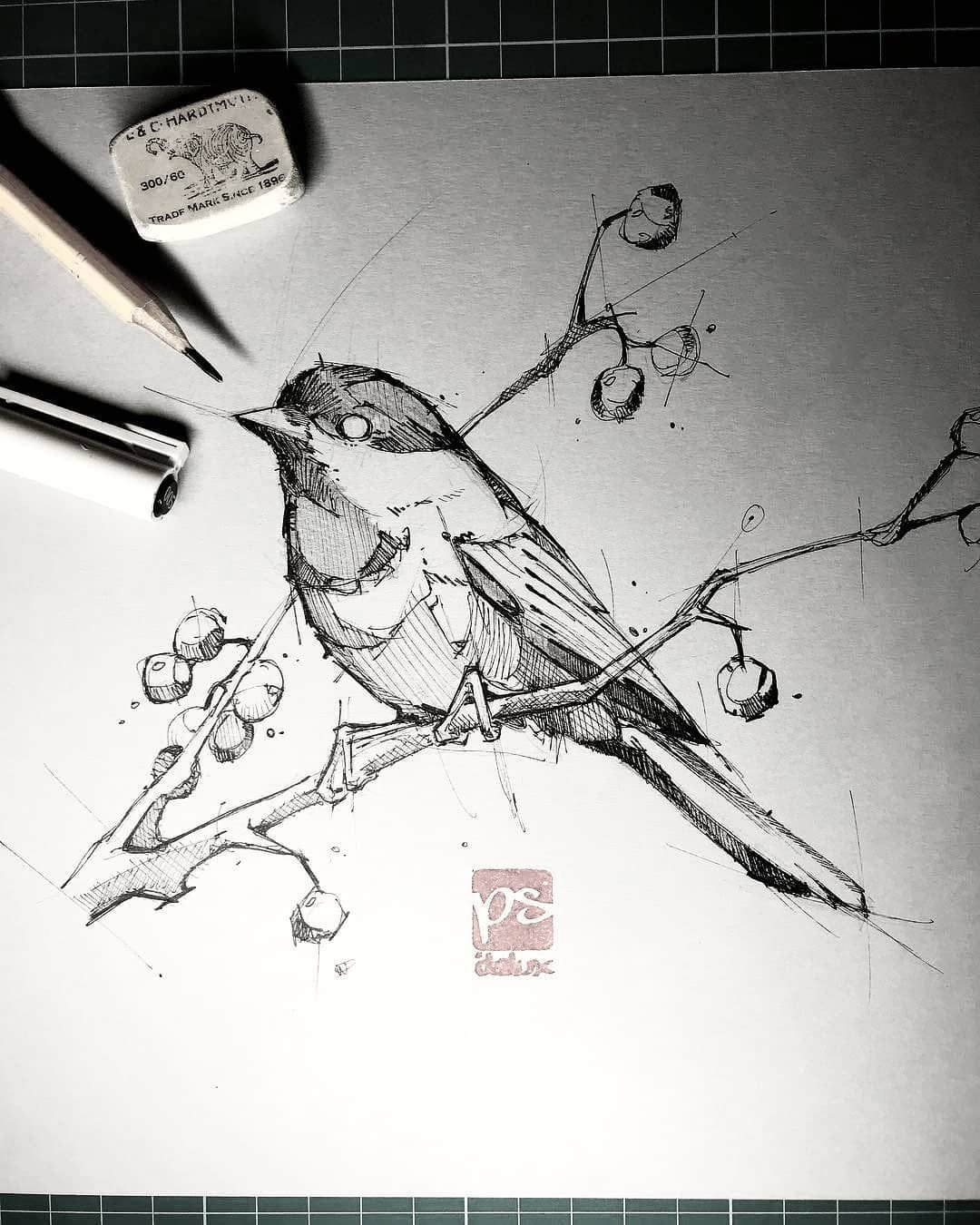 Наброски птиц ручкой