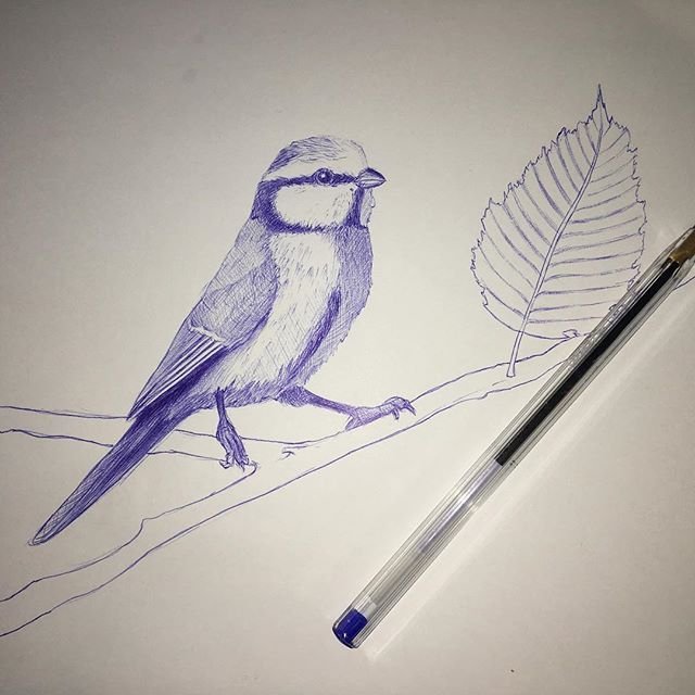 Рисовка ручкой