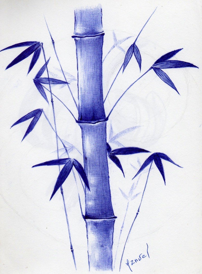 Бамбук рисунок ручкой
