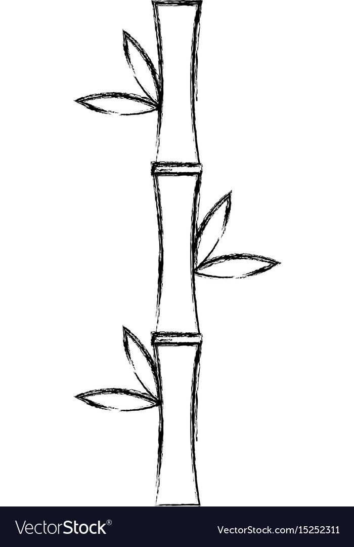 Бамбук нарисованный