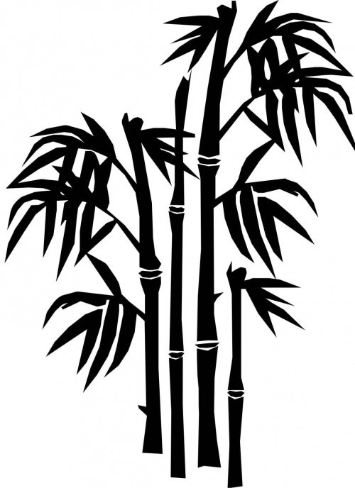 Бамбук черно белый