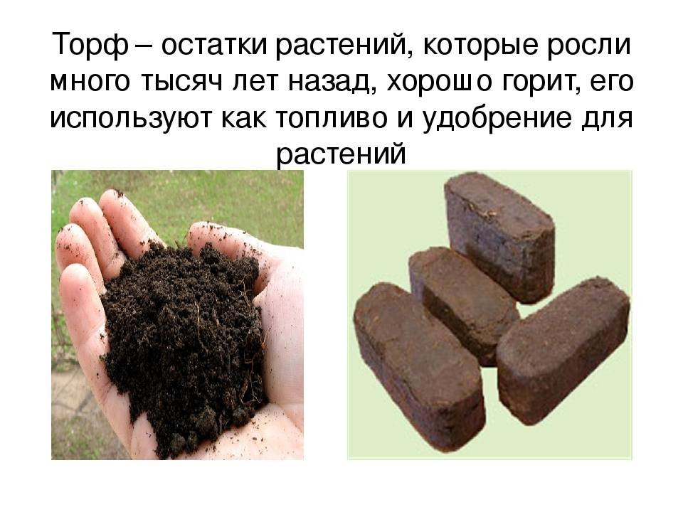 Торф рисунок (48 фото) скачать бесплатно