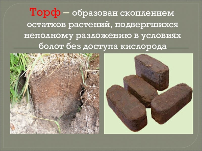 Торф рисунок (48 фото) скачать бесплатно