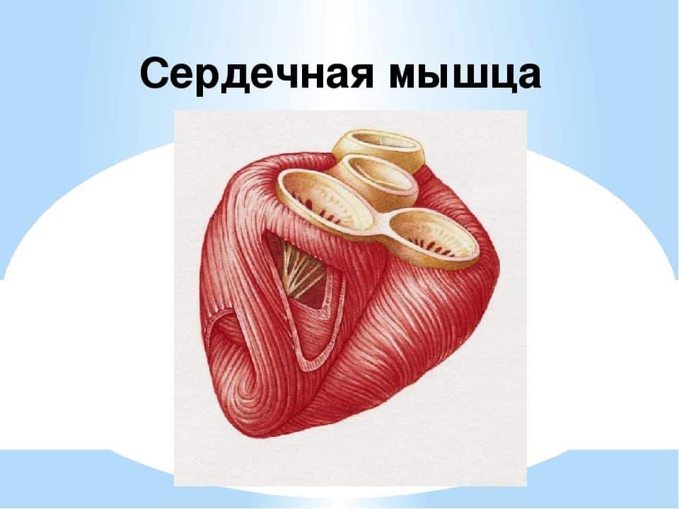 Sermorelin �����: ����.