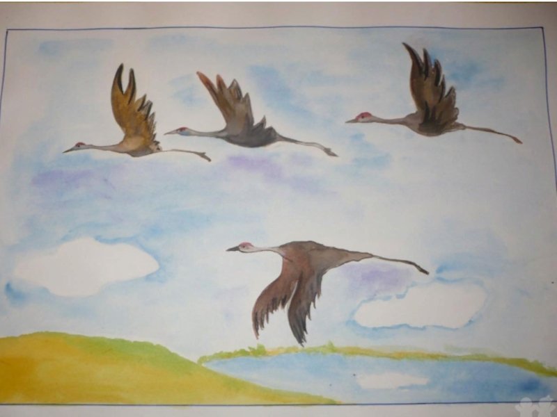 Рисование перелетные птицы