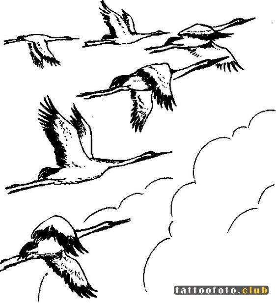 Улетающие птицы рисунок