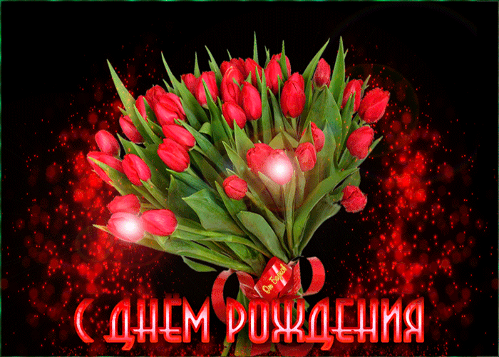 Красивая гифка с букетом красных тюльпанов на день рождения женщине
