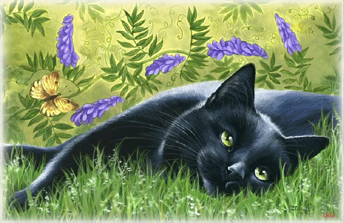 Гифка чёрная кошка в траве