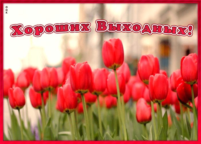 Картинка с пожеланием прекрасных осенних выходных с природой