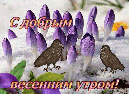Прикольная открытка с добрым весенним утром!