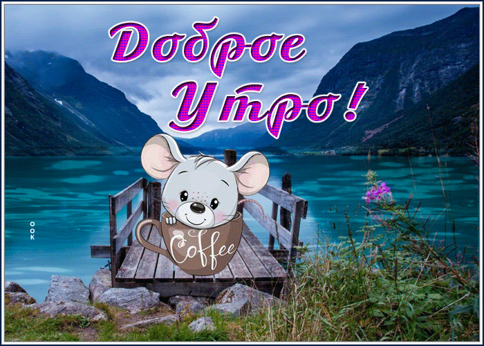 Гифка картинка доброе утро с фиалками