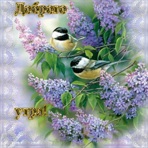 Гифка Доброе Весеннее утро
