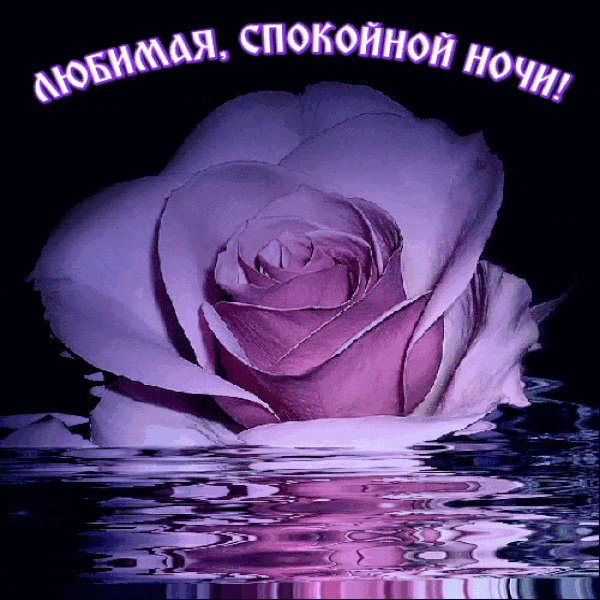 Красивая гифка с розой в воде и пожеланием Любимая, спокойной ночи!