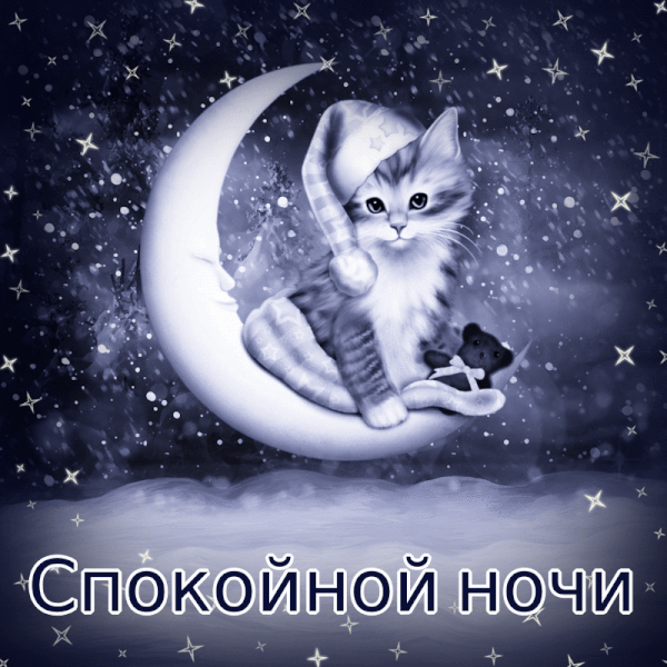 Красивая анимированная картинка с пожеланием спокойной ночи с котёнком!