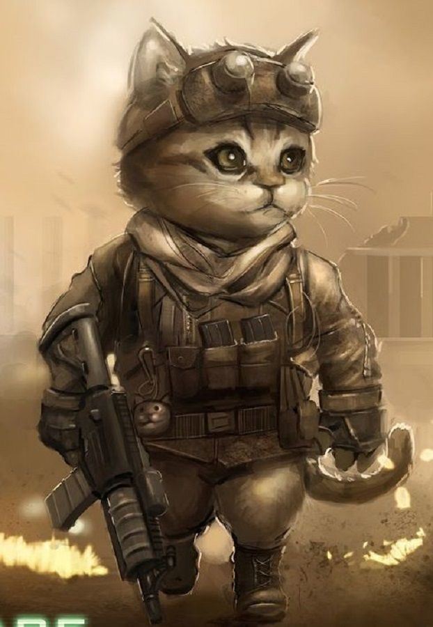 Кот сталкер арт, Боевой кот, Кот спецназовец прикольные картинки на Аву в Стандофф