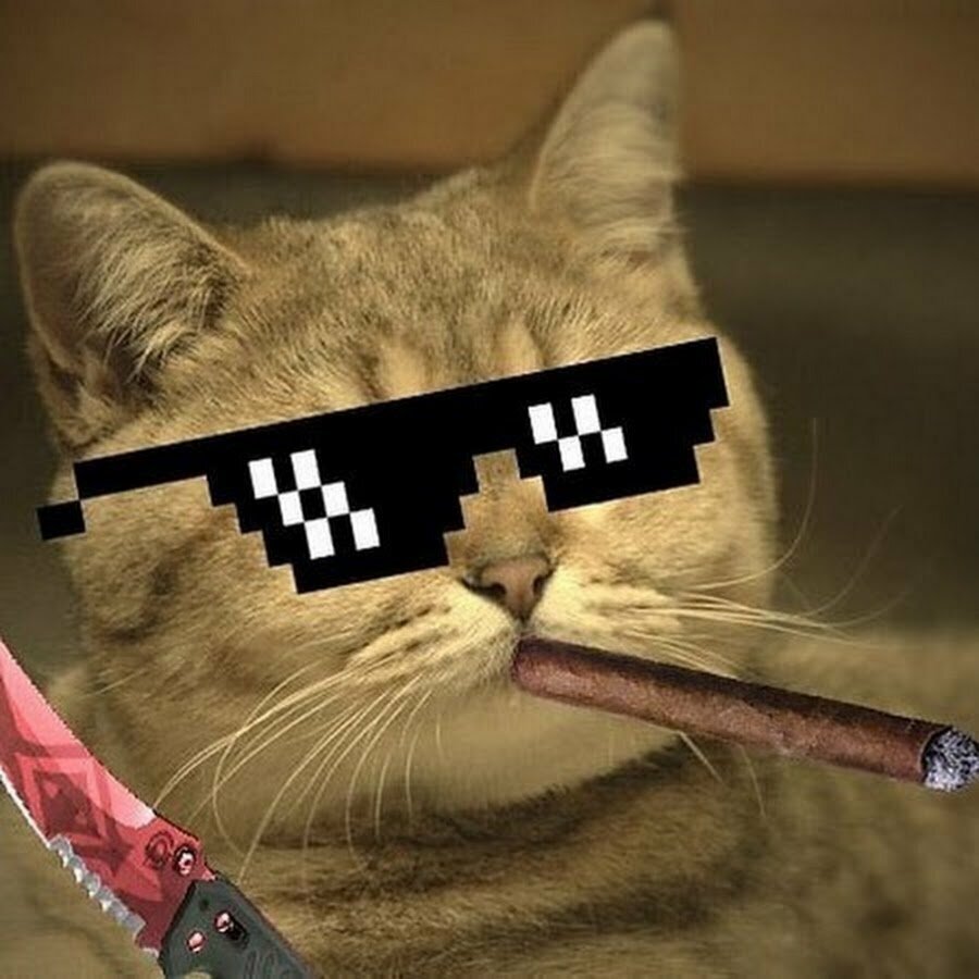 Аватарка Кот в очках с ножом, Ава Котик в пиксельных очках