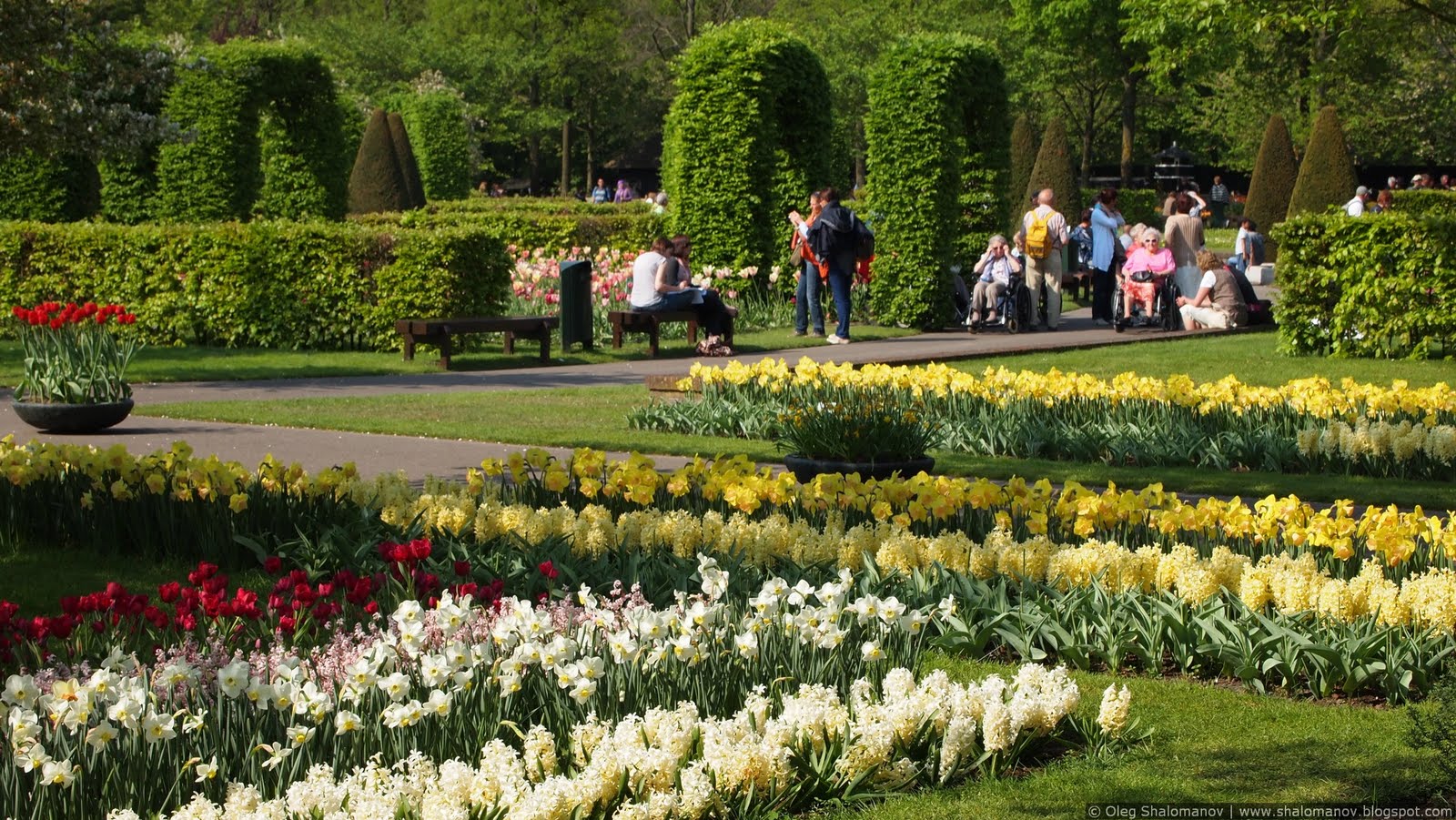 24 Мая Европейский день парков (European Day of Parks), Тиргартен парк цветы.