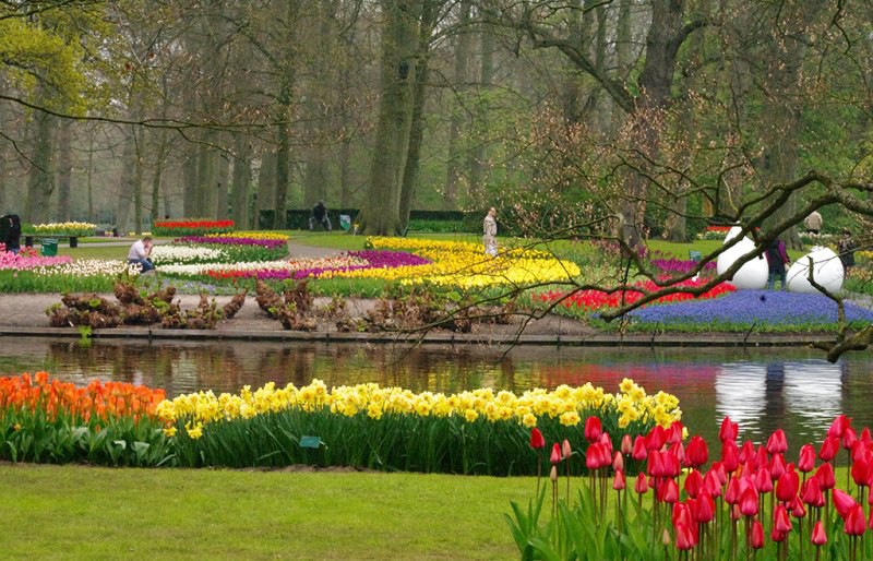 Голландия Королевский парк, Ботанический сад в Лиссе, Нидерланды.