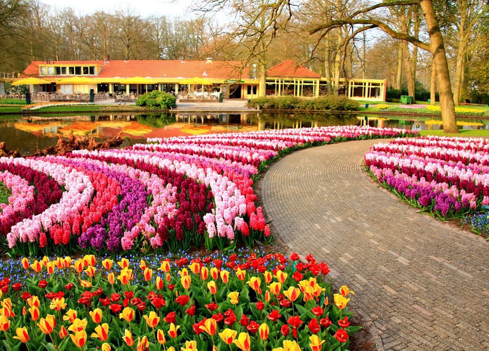 Королевский парк тюльпанов кёкенхоф, Нидерланды